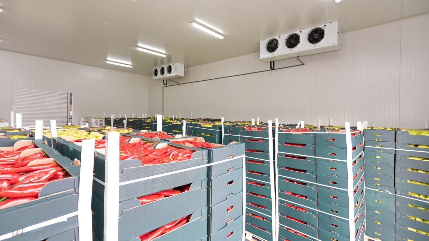 AIB-certified warehouse supporting food safety and compliance